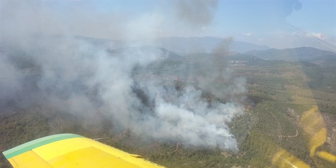 İzmir'de çıkan orman yangınına müdahale ediliyor