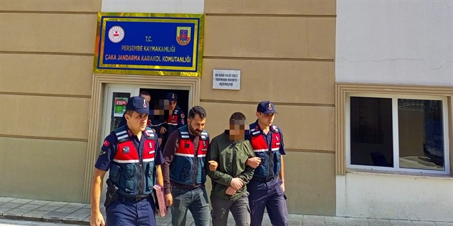 Ordu'da oto hırsızlığı yaptıkları iddiasıyla 2 kişi yakalandı