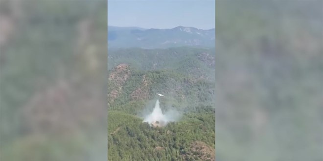 Muğla'da çıkan orman yangını söndürüldü