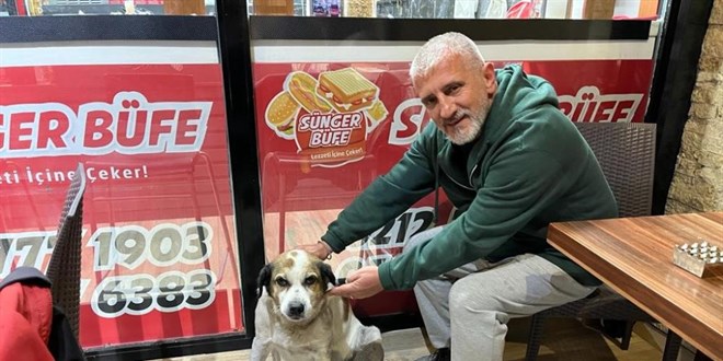 Pitbullunu sokak köpeklerinin üzerine salıp, vatandaşa bıçak çeken şahıs yakalandı