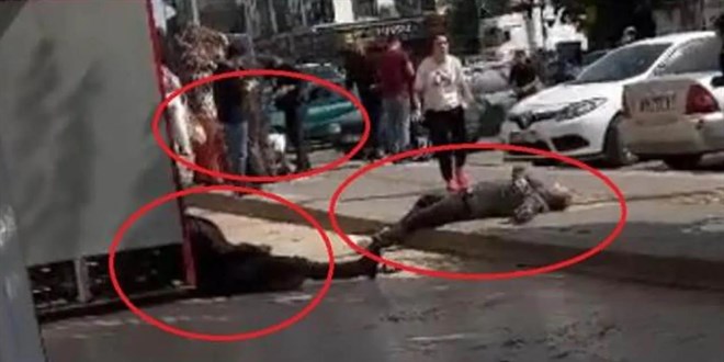 Diyarbakır'da çocukların okuldaki kavgasına aileler karıştı, ortalık kan gölüne döndü