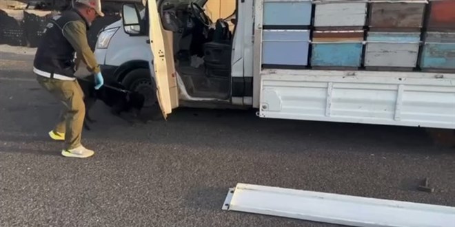 'Narkogüç' operasyonlarında 22 zanlı yakalandı