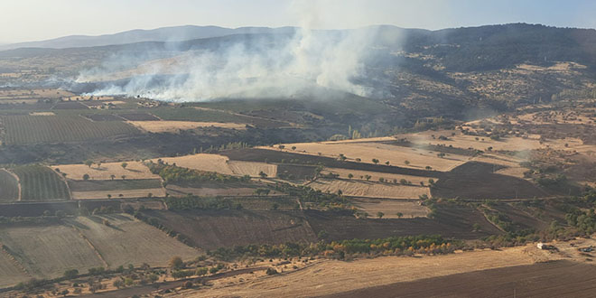 Eskiehir'de kan orman yangn kontrol altna alnd