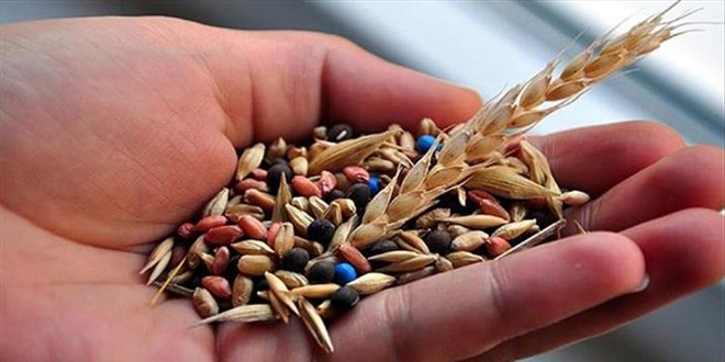 Tohumculuğumuz Geleceğe Ne Kadar Hazır?