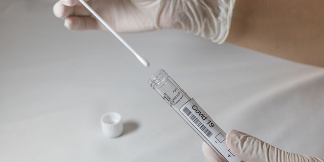 Pandemide PCR testi yaptırmadığı için işten çıkarılan çalışan için emsal karar