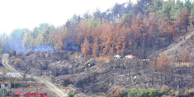 Muğla'da çıkan orman yangını söndürüldü
