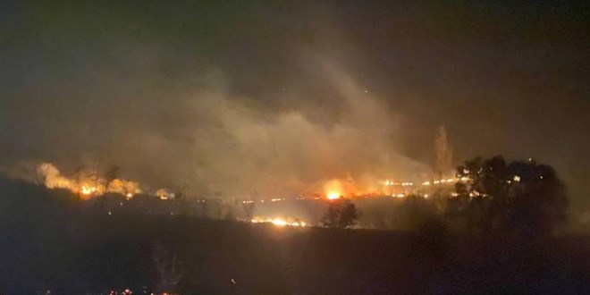 Balıkesir'de orman yangını çıktı