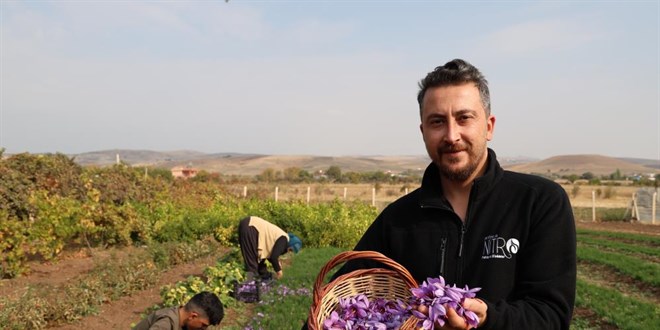 Deneme amaçlı başladı, kilosu 200 bin liraya satılıyor