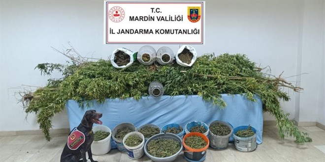 Mardin'de 'Narko Güç' operasyonunda 7 tutuklama