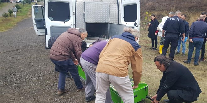 Öğretim üyesi hobi bahçesinde ölü bulundu
