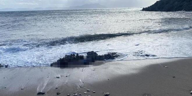 Bodrum'da denizde ve sahilde iki ceset bulundu