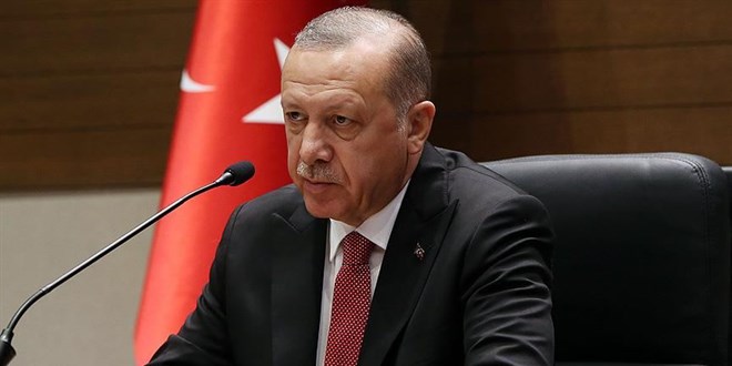 'Sokak köpekleri sorununu çözüme kavuşturacağız'