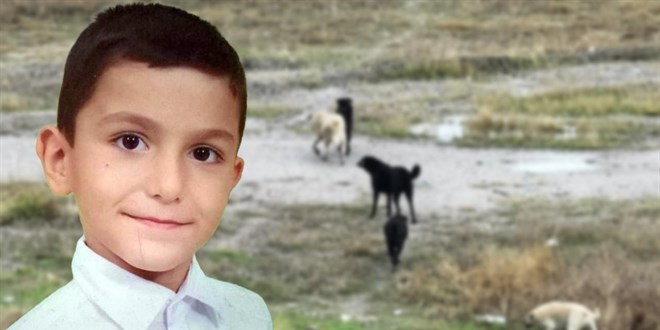 Sahipsiz köpeklerin saldırdığı çocuğun durumu iyiye gidiyor