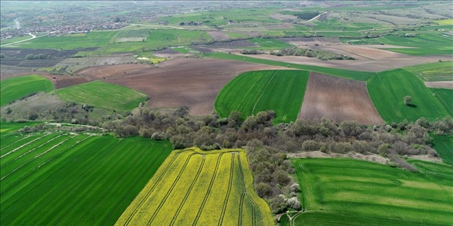2023'te en çok arsa aranan il?