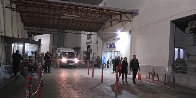 Hatay'da balon balığı yiyen 2'si çocuk 7 kişi zehirlendi