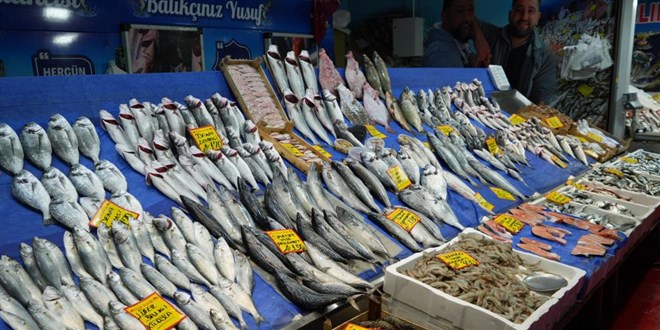 Marmara'da balayan kar ya ve frtna balk fiyatlarna ykseli olarak yansd