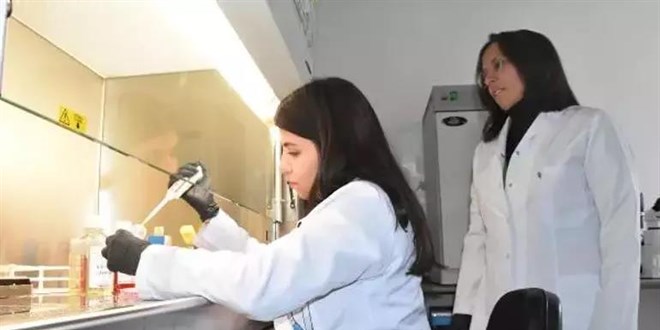 Türk profesörden kanser hücrelerinin yayılmasını önleyecek çalışma; patentini aldı