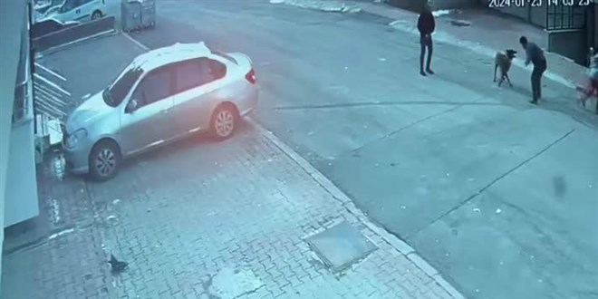 Sivas'ta köpeğin saldırdığı 2'si çocuk, 4 kişi yaralandı
