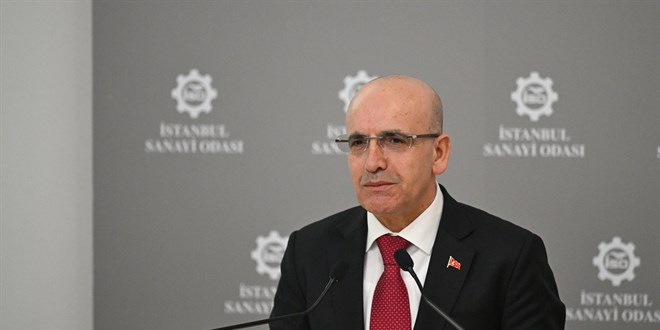 Şimşek: Ekonomi programı geçici bir heves değil