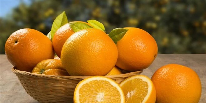 retici ve market arasndaki en fazla fiyat fark portakalda grld