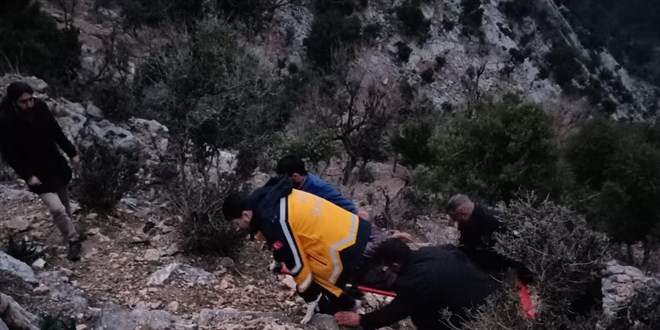Dal kesmek için çıktığı ağaçta kalp krizi geçiren kişi öldü