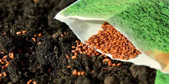 Tarım sektörü tohumda millileşmenin neresinde?