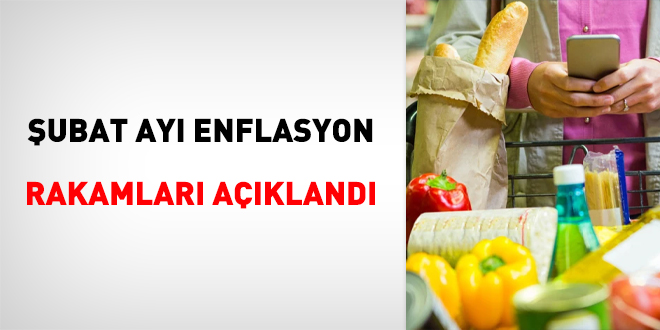 Şubat ayı enflasyon rakamları açıklandı
