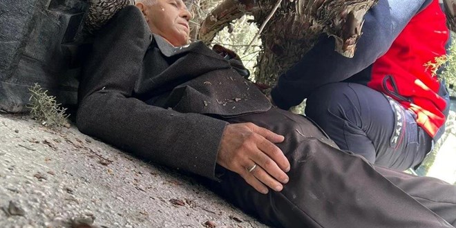 Seçim çalışmalarında kaza: Başkan adayının üzerine ağaç devrildi