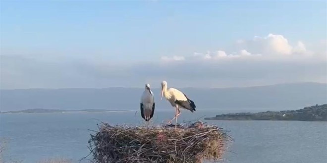 Belgesellere konu olan Yaren'in ardından eşi Nazlı da geldi