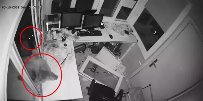 Gvenlik kulbesine giren ay kamerada