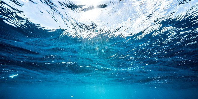 Rekor scaklklar okyanus ekosisteminde deiimlere yol ayor