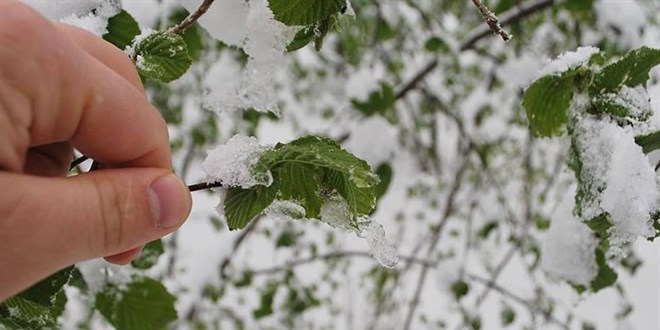 Meteorolojiden zirai don uyarısı