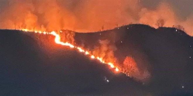 Trabzon'da orman yangn