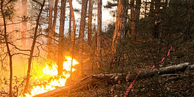 Ktahya'da orman yangn