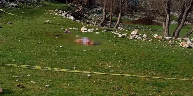 3 çoban köpeğinin saldırdığı kadın öldü