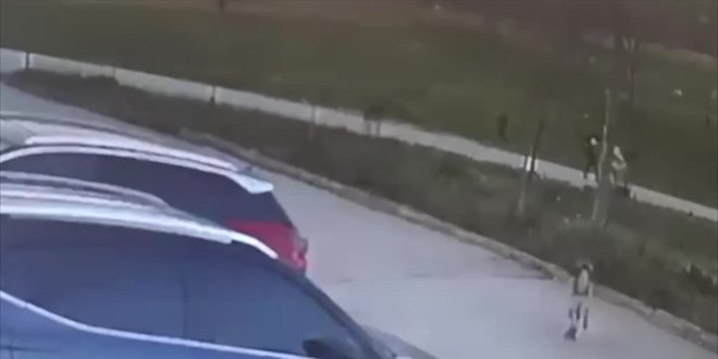 Bursa'da sahipsiz köpeklerin saldırdığı kişi yaralandı