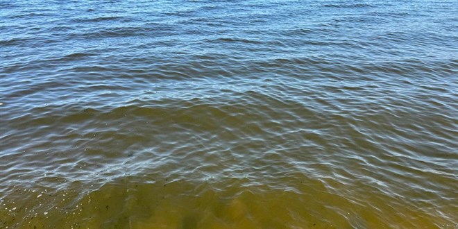 Kkekmece Gl'nde renk deiimi ve kt koku