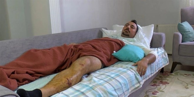 Beylikdz'nde pitbull cinsi kpein saldrsna urayan kii yaraland