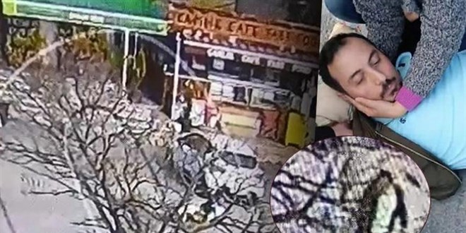 Beylikdüzü'nde pitbull dehşeti kamerada