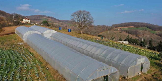 iftilere yzde 50 hibeli modern sera destei