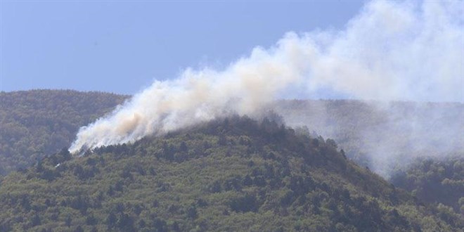 Uludağ eteklerinde yangın! Çok sayıda ekip sevk edildi