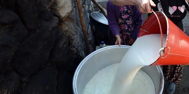Süt alım fiyatına zam