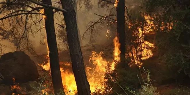 Çanakkale Valiliği'nden orman yangını uyarısı