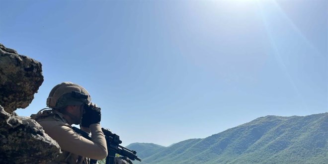 Elazığ'da 'Şehit Jandarma Uzman Çavuş Cihan Kızıltaş-05' operasyonu