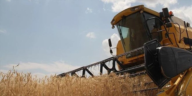 TMO yeni hasat sezonuna hazır