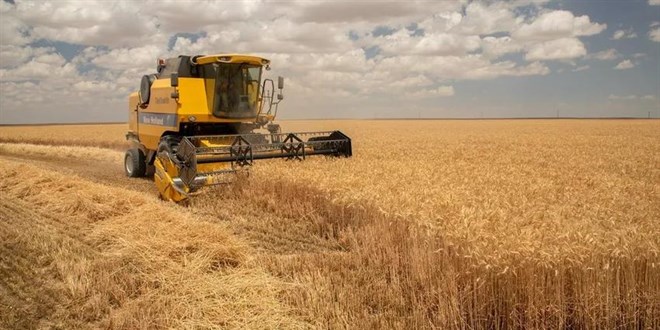 Çiftçi buğdayda 15 TL taban fiyat bekliyor
