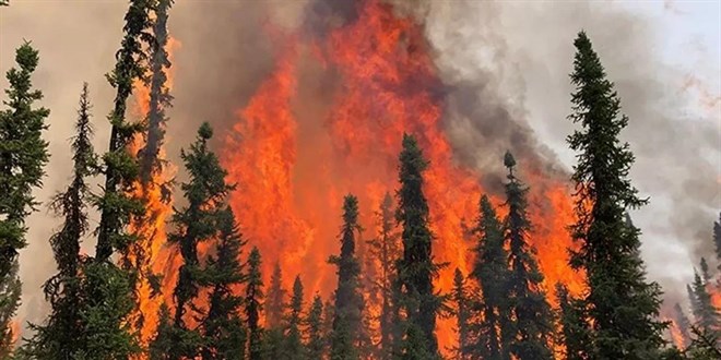 'Orman Yangnlar Meteorolojik Erken Uyar Sistemi' gelitirildi