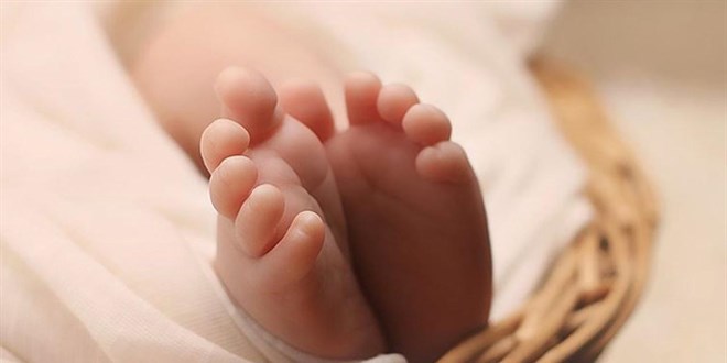 Trkiye'de 2023'te 958 bin 408 bebek dodu