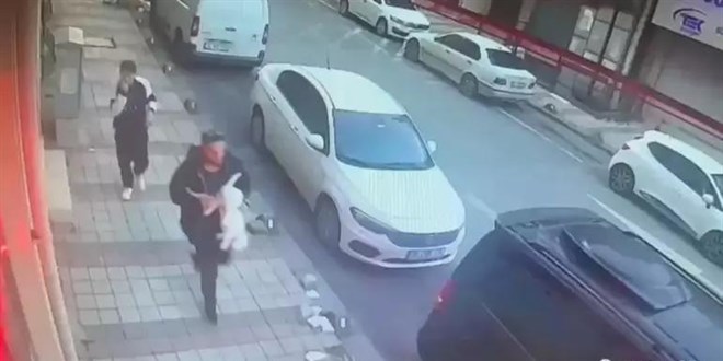 Sultangazi'de vefat eden eşinden kalan kediyi çaldılar