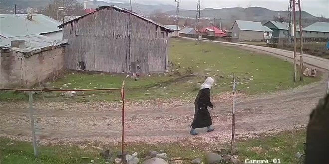 Muş'ta köpeklerin saldırdığı 80 yaşındaki kadın yaşadığı korkuyu unutamıyor